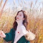 雷火亚洲电竞平台官网